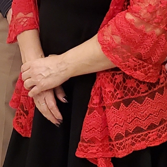 Sheer Red Lace - Picture 6 of 9